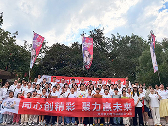 Lavorare Insieme Per Creare Un Futuro Brillante-Chongdugou